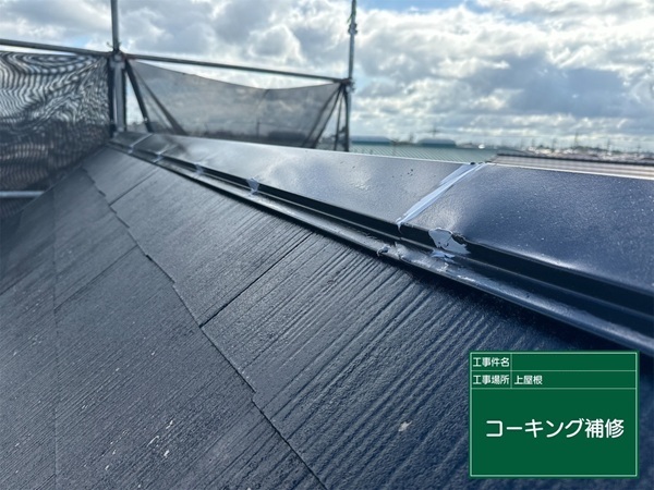 埼玉県春日部市・S様邸|屋根塗装・雨漏り補修(棟板金交換工事) (1)